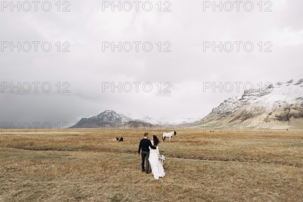 Wedding couple in after with horses. The groom hugs the bride. Destination Iceland wedding photo