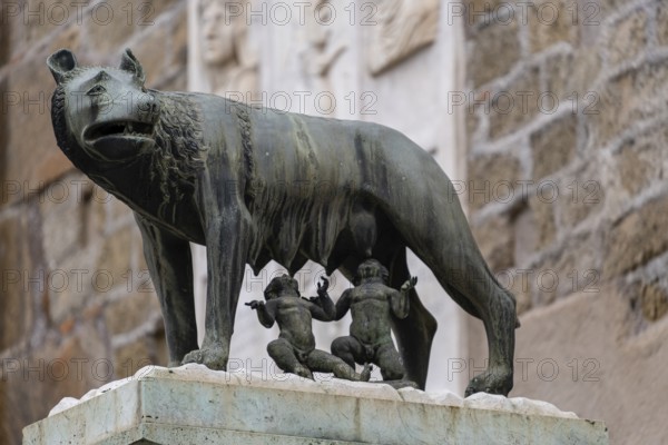 Luperca, the she-wolf who according to Roman mythology nursed Romulus and Remus, founders of Rome,