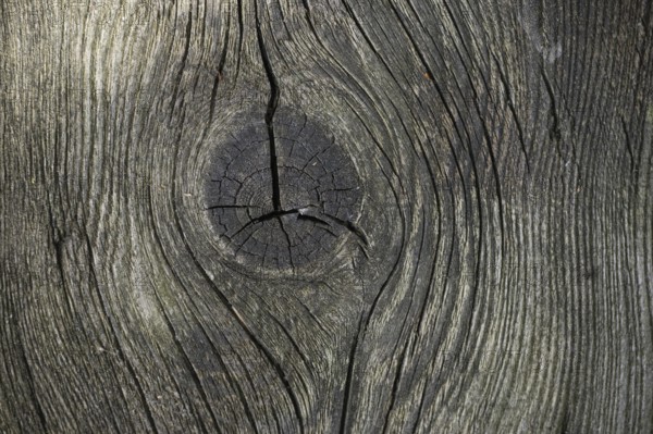 Detailed view of a piece of aged wood with a gray-brown coloration that emphasizes its natural