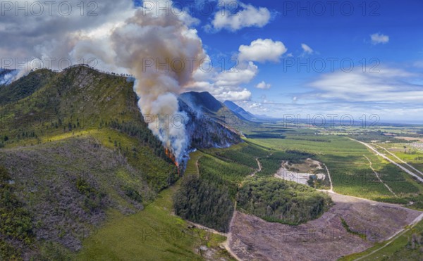 Landscape in South Africa, forest fire, fire, smoke, flames, burning forest, N2, Kou-Kamma Ward 6,