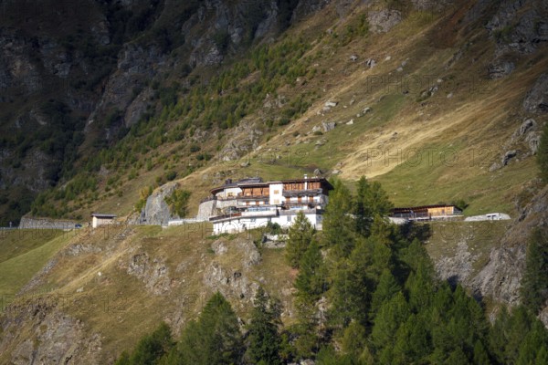 Mountain hut on a grassy slope, surrounded by forest and mountains, sunny day, moss in Passeier,