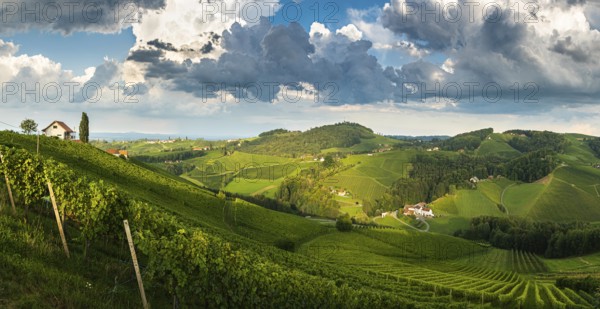 Vineyard panorama on an Austrian countryside, Styrian Tuscany. Wine road through south. Stormy