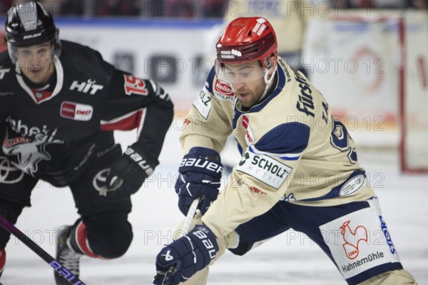 LanxessArena, Cologne, North Rhine-Westphalia, Tyson Spink (Schwenninger Wild Wings, #96), PENNY