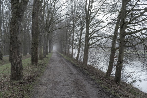A misty path and riverbank lined with bare trees, under a calm, overcast sky