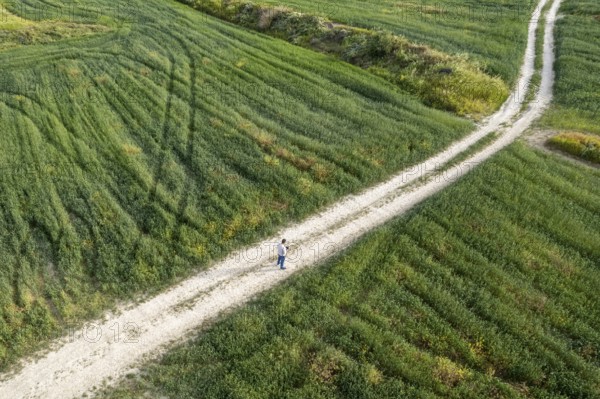 Drone aerial of unrecognized man standing on a rural road in the green field outdoor. One person