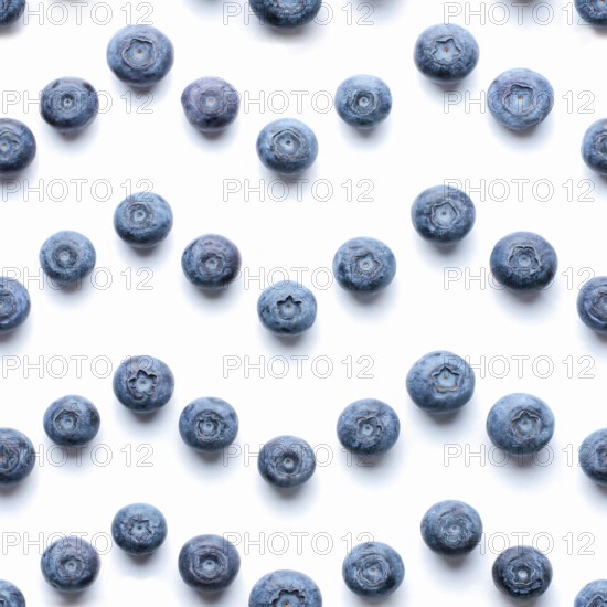 Beautiful trendy seamless pattern blueberries. Blueberry pattern isolated on white background.