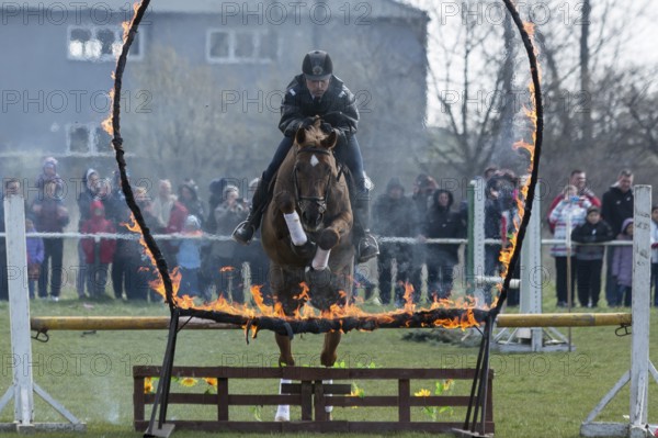 Sofia, Bulgaria - March 19, 2016: A policeman from Horse police unit in jumping with his horse