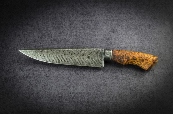 Beautiful luxurious utility knife in Texas Wind damask pattern with noble wood handle on dark
