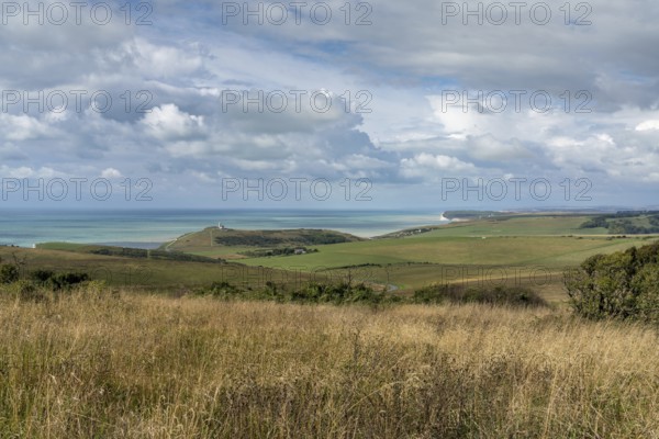 Landscape view of the rolling hills and meadows of the Jurassic Coast on the English Channel coast