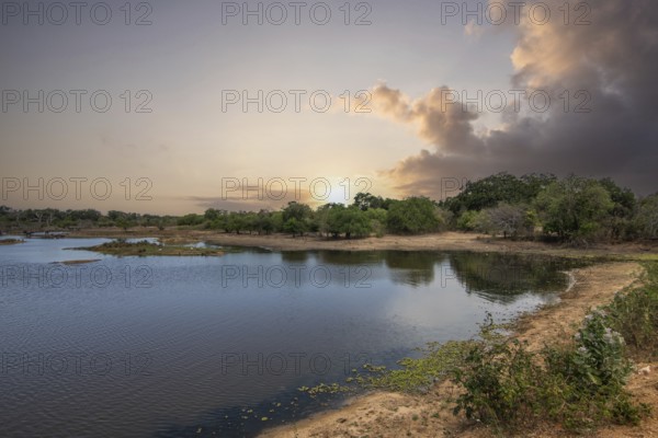 The oldest nature reserve in a fantastic landscape. Natural surroundings in the morning at sunrise.