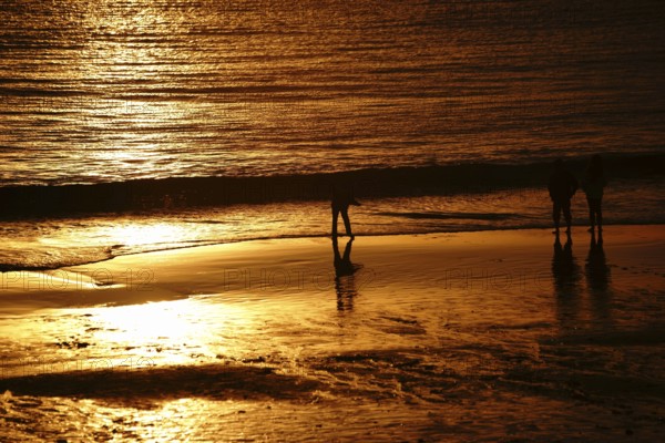 A golden-coloured sunset on Laguna Beach with the silhouette of a boy throwing stones into the