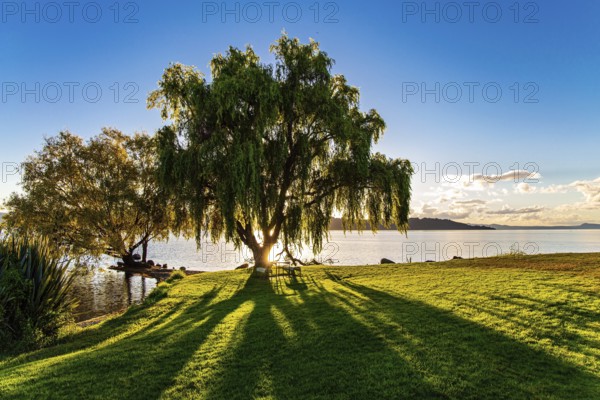 Magnificent sunset. Warm evening on the lake. New Zealand. The largest Lake Taupo. The magnificent