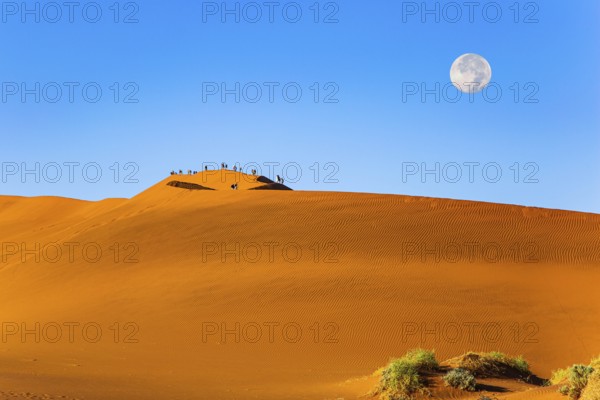 The huge moon is visible low above the horizon. Huge scenic red and orange sand dunes. Namibia.