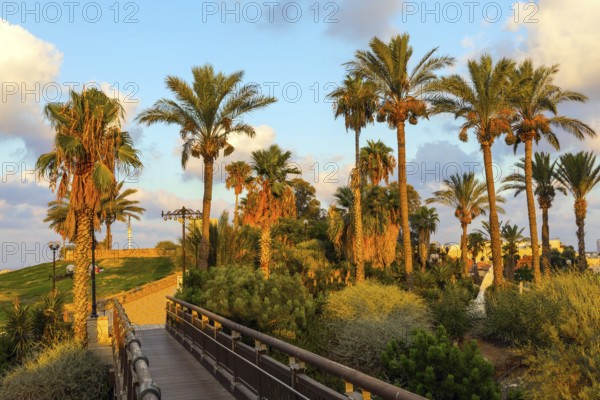 Picturesque bridge over a ravine. Evening twilight over Old Jaffa. Palm trees on the hill Abrasha