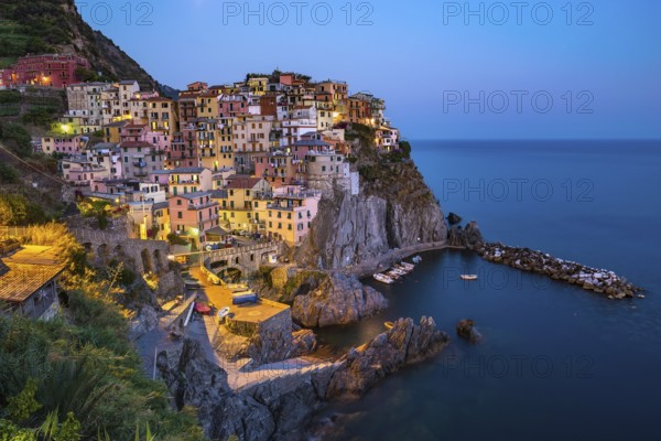 View of Manarola village, Cinque Terre, Italy, Europe