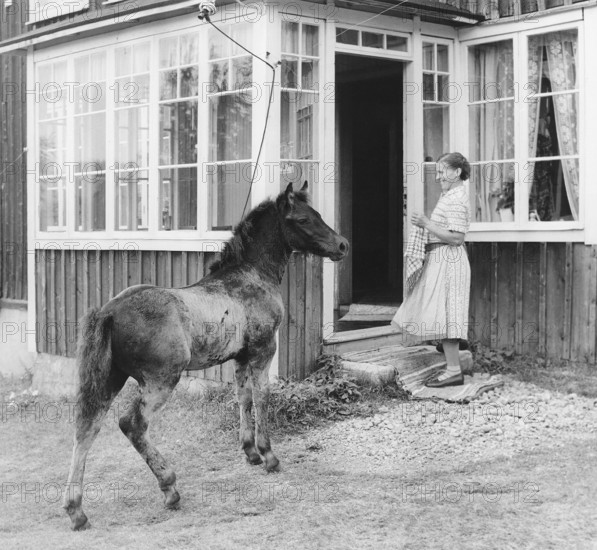 Horse on the doorstep in the 1950s. The photograph depicts an elderly woman standing at the front