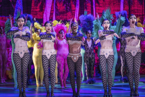 La Cage Aux Folles (A Cage Full of Fools)