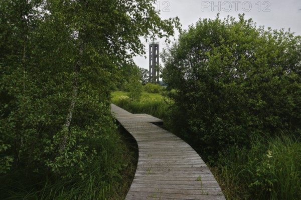 Bannwaldturm im Pfrunger-Burgweiler Ried in Oberschwaben, Baden-Württemberg, protected forest tower