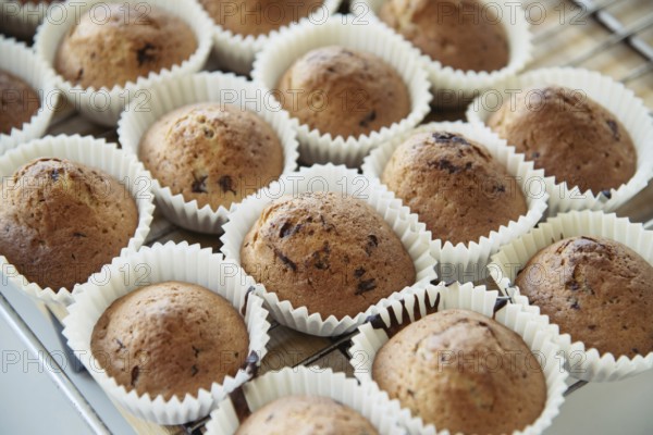 Homemade Muffins with Chocolate Chips on a Oven Grill over a Wooden Table, in a shallow depth of