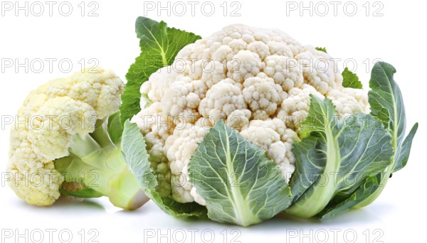 Fresh whole and partial cauliflower with green leaves isolated on a white background in high
