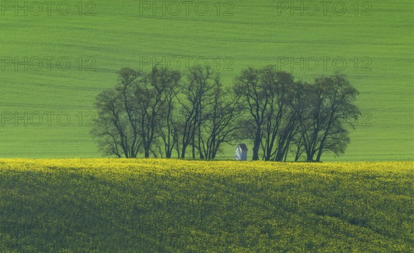 The small white Santa Barbara chapel surrounded by rape and wheat fields. Beautiful abstract