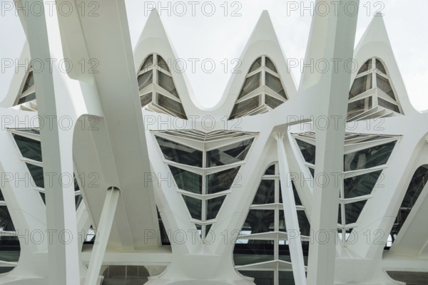 Valencia, Spain, July 30, 2023: Museum of Sciences Prince Philip in the City of Arts and Science.
