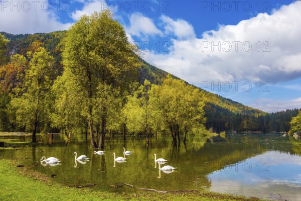 Lake Lago de Fusine. Laghi di Fusine, Tarvisio, Province of Udine. Magnificent lake in Northern