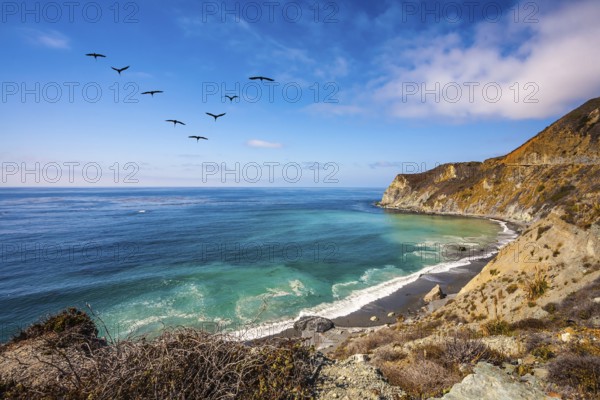 In the sky flies a flock of cranes. The scenic road passes over the ocean bay with emerald water.