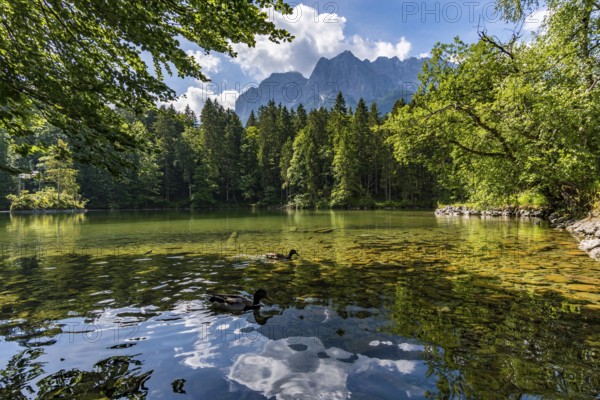 Fantastic round hike around the beautiful Eibsee at the Tiroler Zugspitze Arena