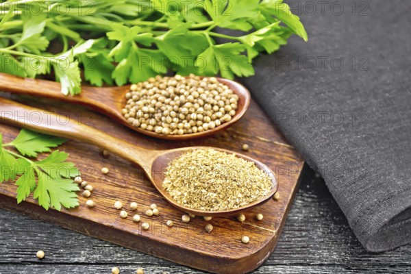 Coriander seeds and ground in two spoons, green fresh cilantro and a napkin on wooden board
