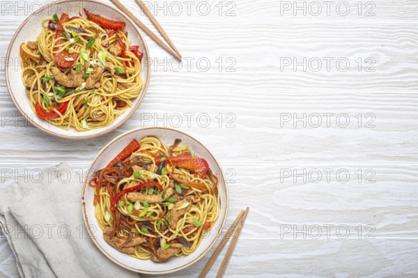 Two bowls with Chow Mein or Lo Mein, traditional Chinese stir fry noodles with meat and vegetables,