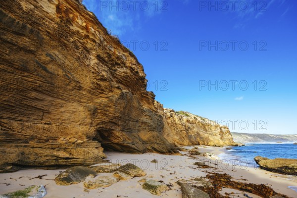 Fingal Beach as part of the Mornington Peninsula Coastal Walk on a warm winter's day near