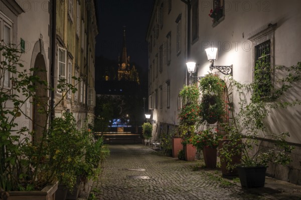 Scenic little Krizevniska alley in Ljubljana illuminated at night, arranged with plants at the