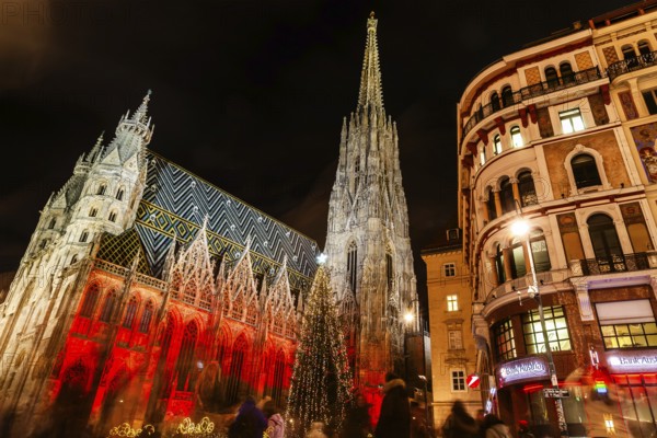 Christmas tree, St Stephen's Cathedral illuminated for Christmas, night shot, Vienna, Austria,