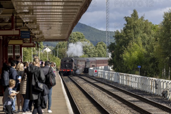 Strathspey railway historic steam train, Aviemore, An Aghaidh Mhór, Highlands, Scotland, Great