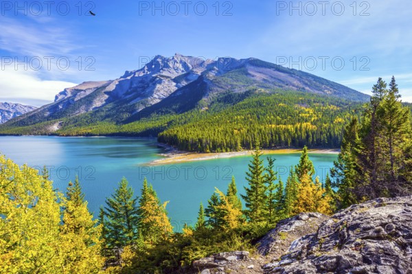 The lake with turquoise water is surrounded by coniferous forests. Lake Two Jack in the Rocky