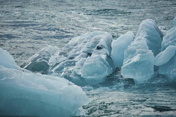 Floating icebergs in the ocean creating a cold, natural scene with a blue hue, iceberg, glacier,