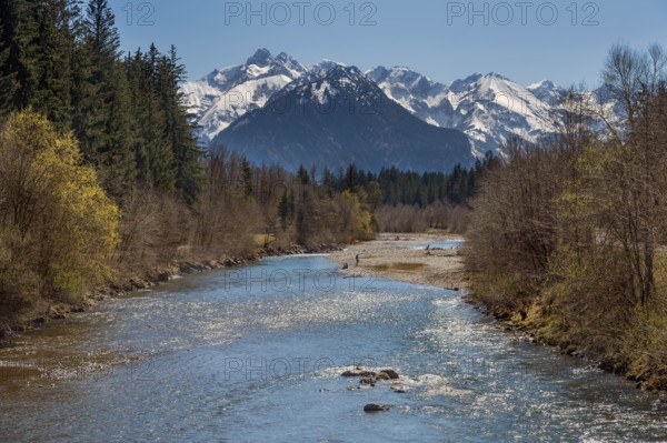 The spring-like Iller with the Oberstdorf Alps in the background in Fischen, Allgäu, Swabia,