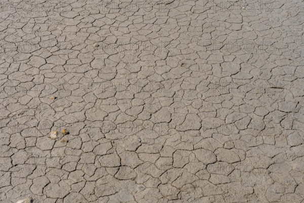 Dry, cracked earth texture reveals the devastating effects of severe drought conditions,
