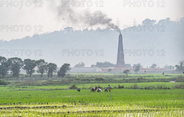 A brick factory chimney smokes as farmers work in an rice agricultural field at Mayong village in