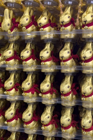 Display on retail shelf of wholesale chocolate Easter bunnies chocolate Easter bunnies chocolate