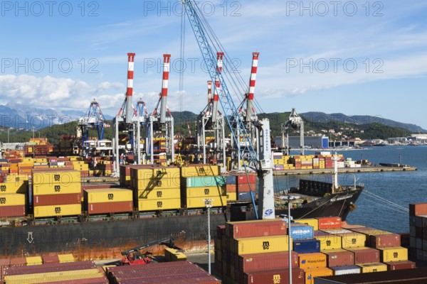 High angle view of stacked MSC, TEX and NileDutch metal box shipping containers loaded onto MSC