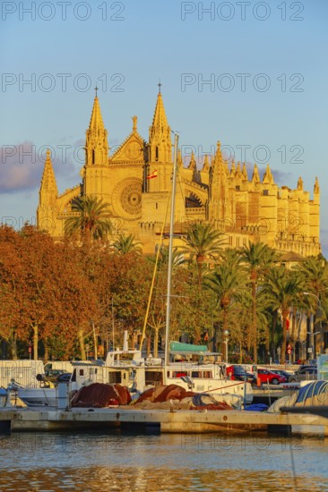 View of La Seu Cathedral from Palma de Mallorca harbour, Palma de Mallorca, Mallorca, Balearic