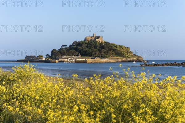 View of St Michaels Mount, from Marazion Beach. Yellow flowers in front. St Michael's Mount,
