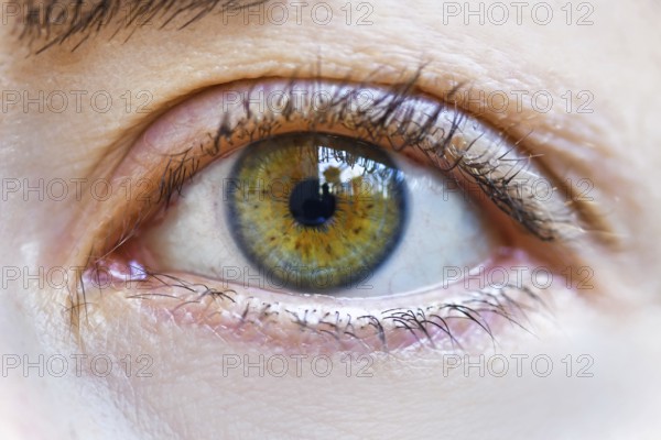 Close up of woman's hazel eye without any makeup