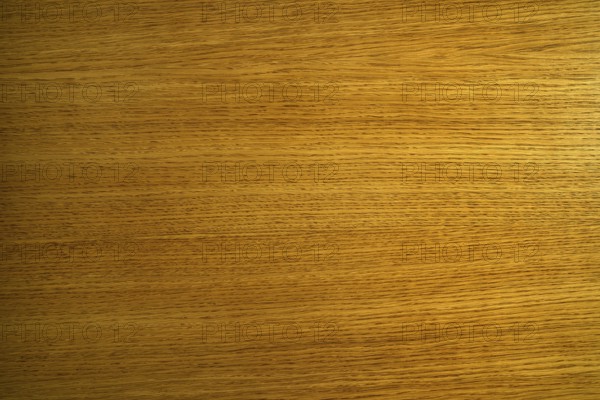 Oak tree wooden table texture background