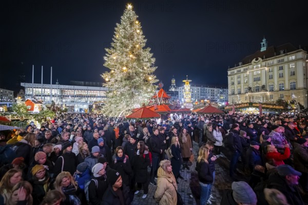 The Dresden Striezelmarkt is a Christmas market in Dresden. It has been held in Advent since 1434,
