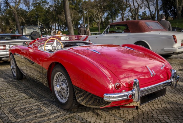 Lisbon, Portugal, Jan 20, 2024: Rear view of two-tone Reno red and black Austin-Healey 100 vintage