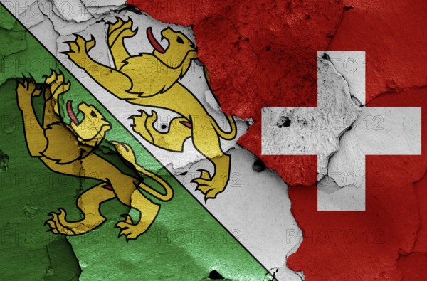 Flags of Thurgau canton and Switzerland painted on cracked wall