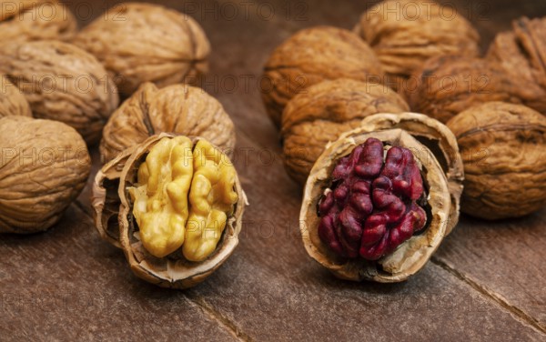 Red Danube and Juglans regia walnuts on wooden background, comparison concept. It originated from a